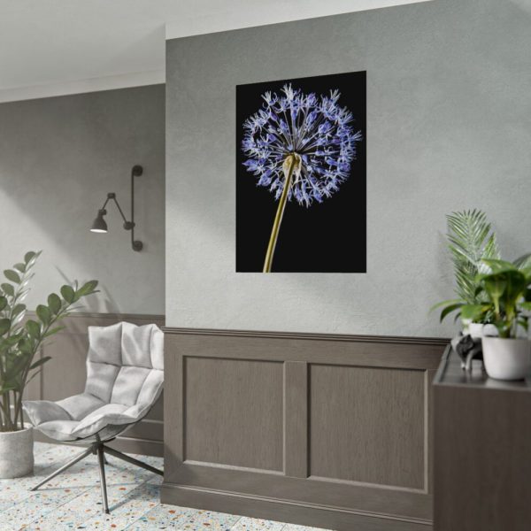 92410-99.jpg Dandelion on Black Poster
