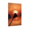 Dandelion in Sunset Poster
