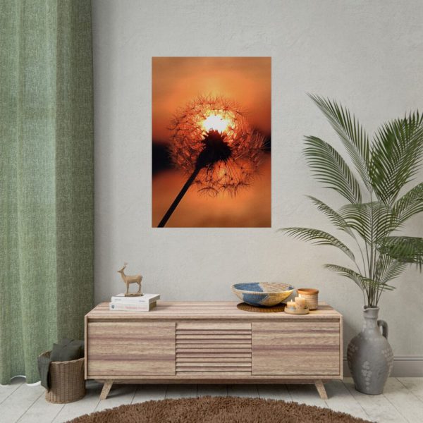 Dandelion in Sunset Poster