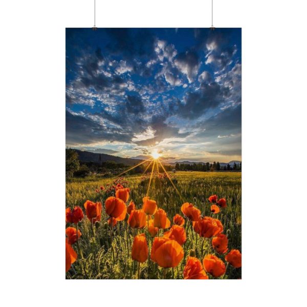 92411-161.jpg Sunset in Field With Red Wild Flowers Poster