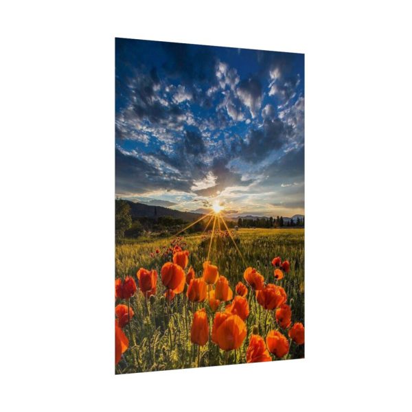 92411-162.jpg Sunset in Field With Red Wild Flowers Poster