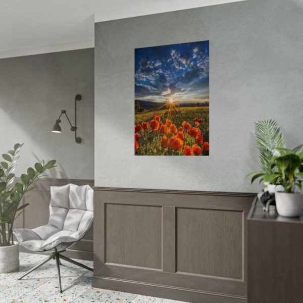 92411-164.jpg Sunset in Field With Red Wild Flowers Poster