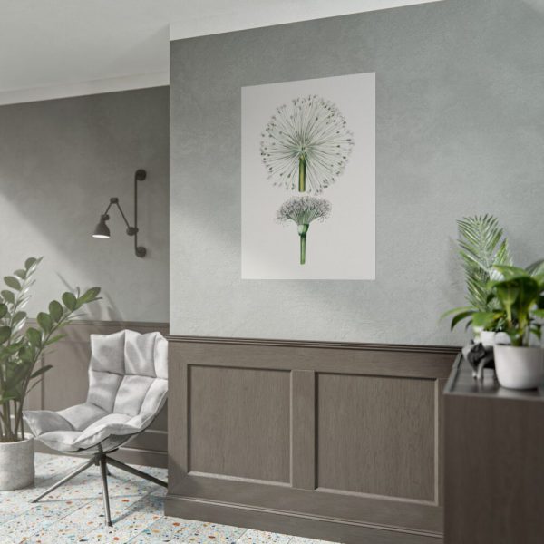 92411-89.jpg Hand Drawn White Blood Lily Poster