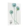 92411-92.jpg Blue Leek from Edwards’s Botanical Register Poster