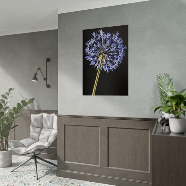 92411-99.jpg Dandelion on Black Poster