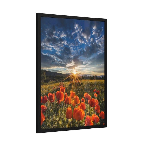 Sunset in Field With Red Wild Flowers Framed Poster