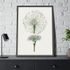 93830-55.jpg Hand Drawn White Blood Lily Framed Poster