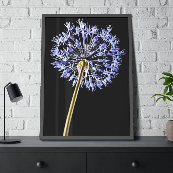 93830-63.jpg Dandelion on Black Framed Poster