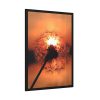 93830-65.jpg Dandelion in Sunset Framed Poster