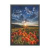 Sunset in Field With Red Wild Flowers Framed Poster