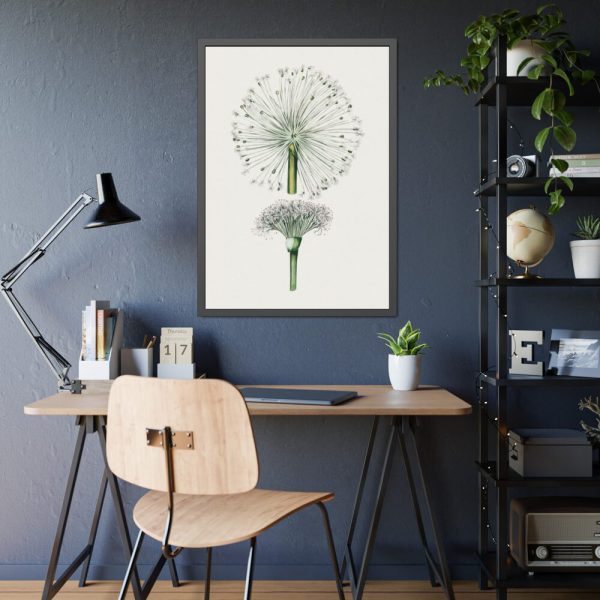 93831-58.jpg Hand Drawn White Blood Lily Framed Poster