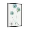 93831-61.jpg Blue Leek from Edwards’s Botanical Register Framed Poster