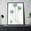 93831-63.jpg Blue Leek from Edwards’s Botanical Register Framed Poster