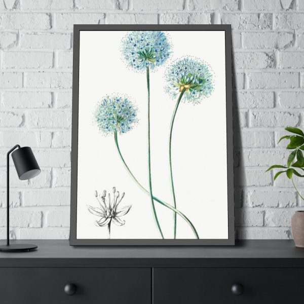 93831-63.jpg Blue Leek from Edwards’s Botanical Register Framed Poster