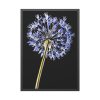 93831-64.jpg Dandelion on Black Framed Poster