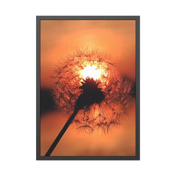 93831-68.jpg Dandelion in Sunset Framed Poster