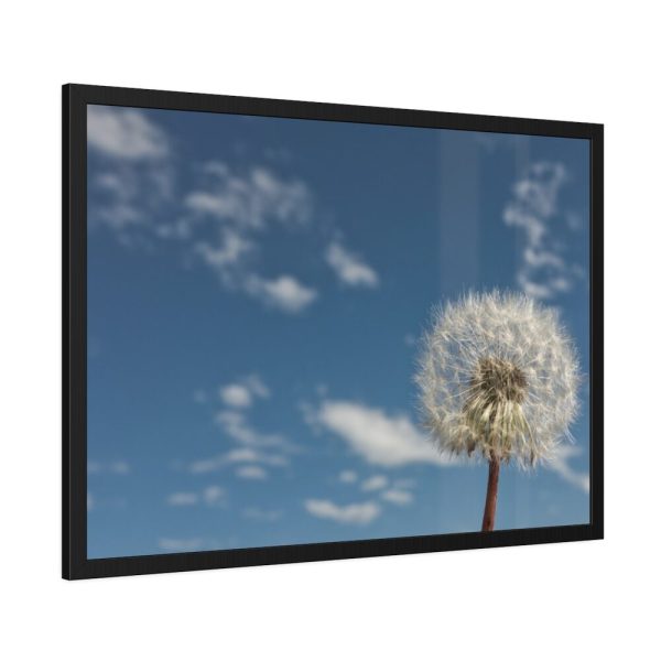 93854-109.jpg Dandelion and Blue Sky Framed Poster