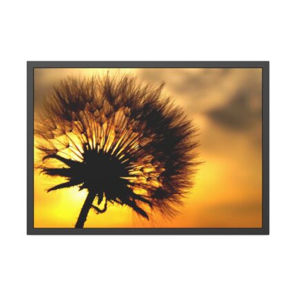 Dandelion and Sunset Framed Poster