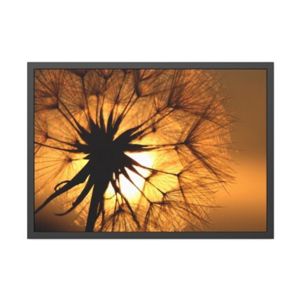 Closeup Dandelion Framed Poster