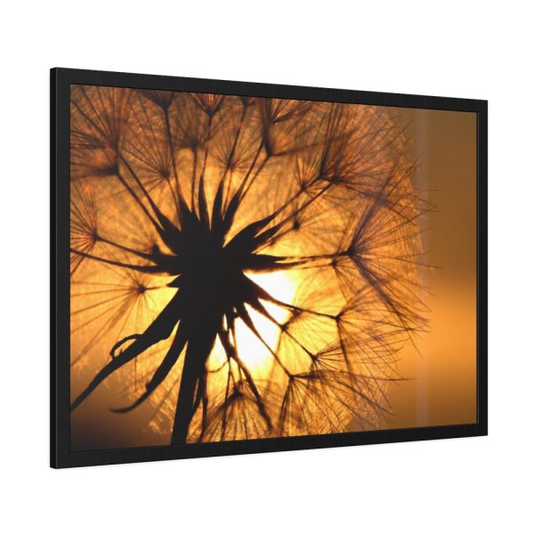 93854-141.jpg Closeup Dandelion Framed Poster