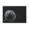 Dandelion Background Framed Poster