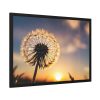 93854-149.jpg Dandelion Blossom Flower II Framed Poster