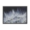 93854-180.jpg Macro Flower Detail Framed Poster
