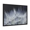 93854-181.jpg Macro Flower Detail Framed Poster