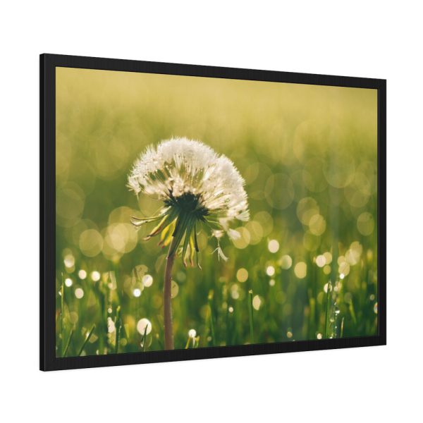 93854-185.jpg Dandelion in Dewey Grassy Area Framed Poster