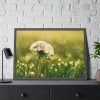 93854-187.jpg Dandelion in Dewey Grassy Area Framed Poster