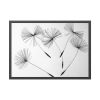 93854-188.jpg Dandelion Seeds Framed Poster