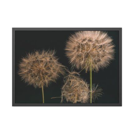 Giant Dandelion Framed Poster