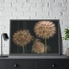 Giant Dandelion Framed Poster