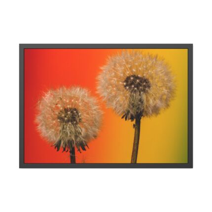 Dandelion on Yellow Background Framed Poster