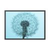 93854-216.jpg Dandelion Puffball Puff Framed Poster