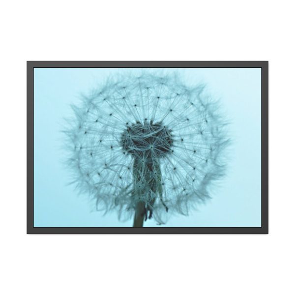 93854-216.jpg Dandelion Puffball Puff Framed Poster