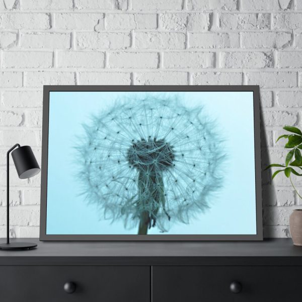 93854-219.jpg Dandelion Puffball Puff Framed Poster