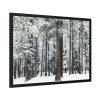 93854-361.jpg Old Mammoth Road Framed Poster