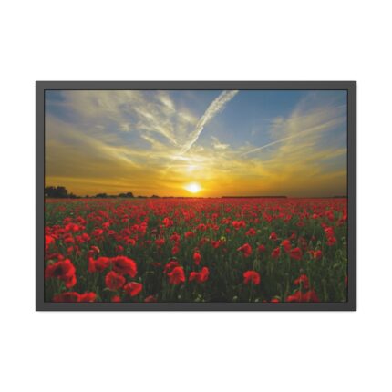 Flower Field in Sunset Framed Poster