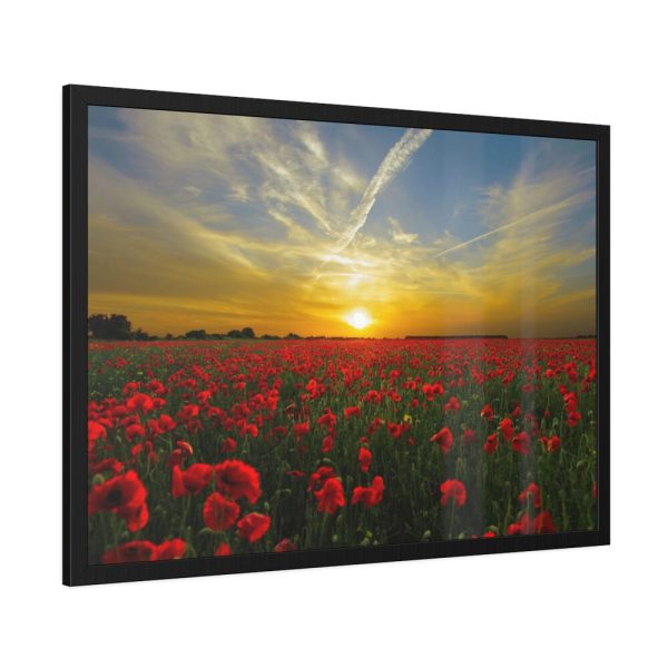 93854-445.jpg Flower Field in Sunset Framed Poster
