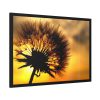 93855-113.jpg Dandelion and Sunset Framed Poster