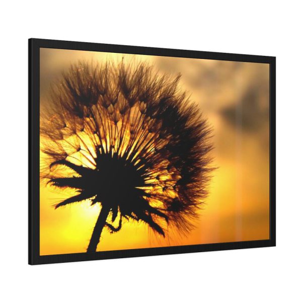 93855-113.jpg Dandelion and Sunset Framed Poster