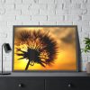 93855-115.jpg Dandelion and Sunset Framed Poster