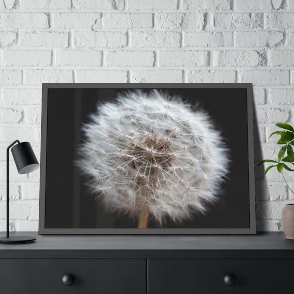 93855-139.jpg Closeup of Dandelion II Framed Poster
