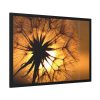 93855-141.jpg Closeup Dandelion Framed Poster