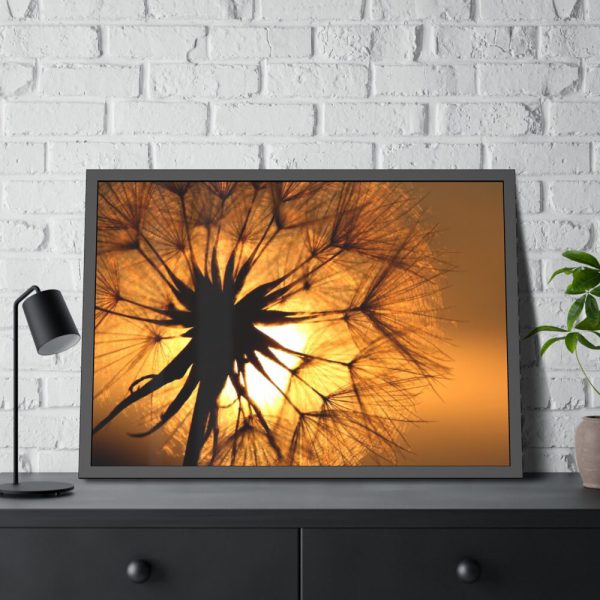 93855-143.jpg Closeup Dandelion Framed Poster