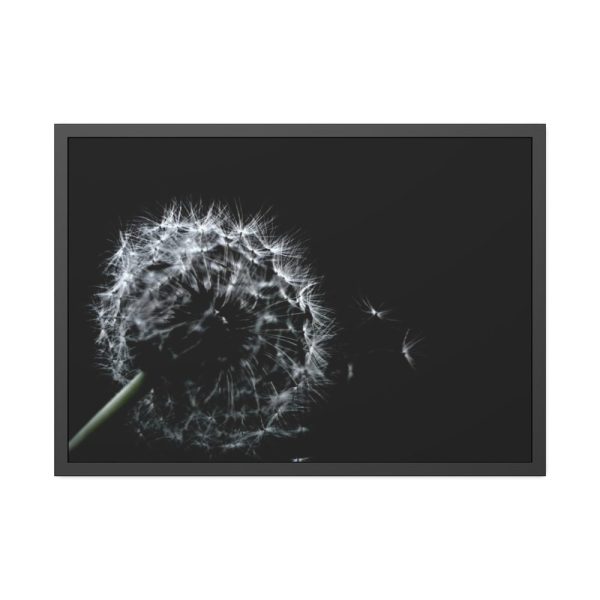 Dandelion Background Framed Poster
