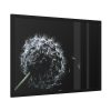 Dandelion Background Framed Poster