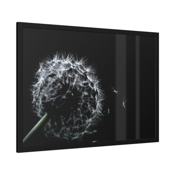 Dandelion Background Framed Poster