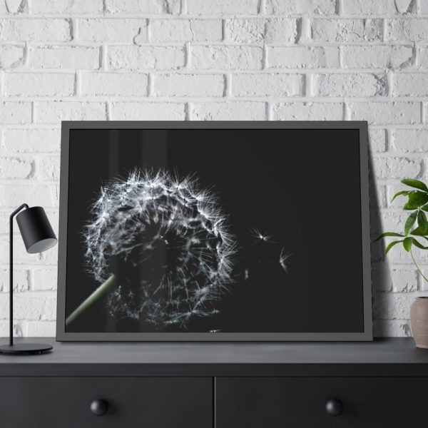 Dandelion Background Framed Poster
